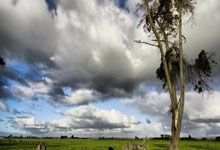 天涯论坛爆料霍建华该红不让几时是个热点！